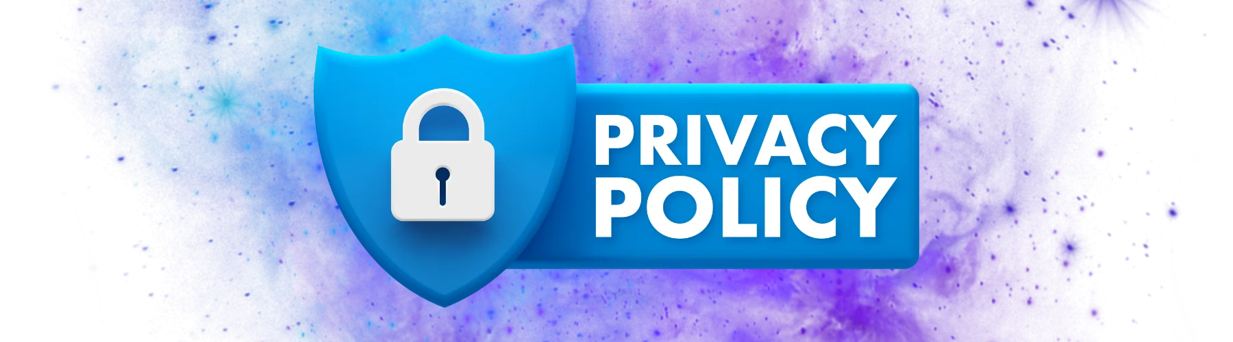 privacy policy